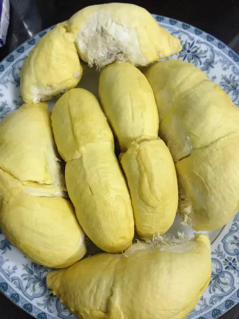 長柄榴蓮是什么品種(世界十大頂級榴蓮)-1 長柄榴蓮是什么品種(世界十大頂級榴蓮)-1