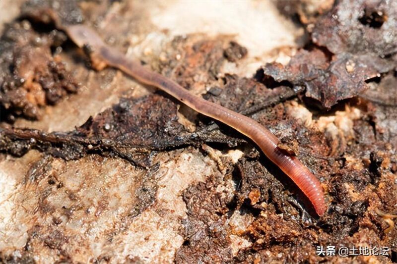 鄉鎮最缺什么生意(鄉鎮空缺生意)-1 鄉鎮最缺什么生意(鄉鎮空缺生意)-1