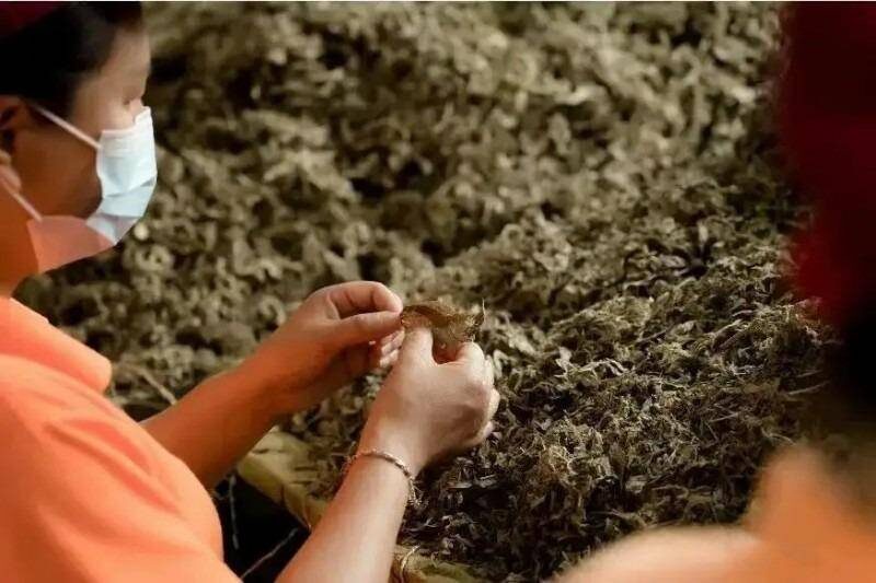 家庭辦廠什么項目好?推薦12個創業項目小生意-專在家創業網