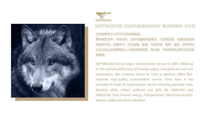 中國(guó)十大頂級(jí)西裝品牌（中國(guó)名牌西服排行榜）-1