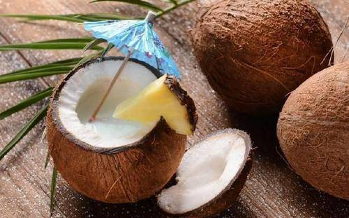 狗吃什么食物-1 狗吃什么食物-1