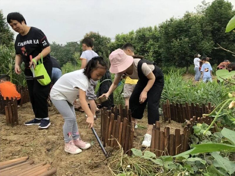 年輕人創業做什么好在農村-1 年輕人創業做什么好在農村-1