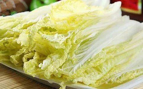 狗吃什么食物-1 狗吃什么食物-1