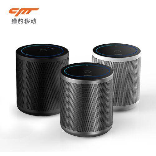 智能家用音響排名前十名（十大音響品牌排行榜）-1