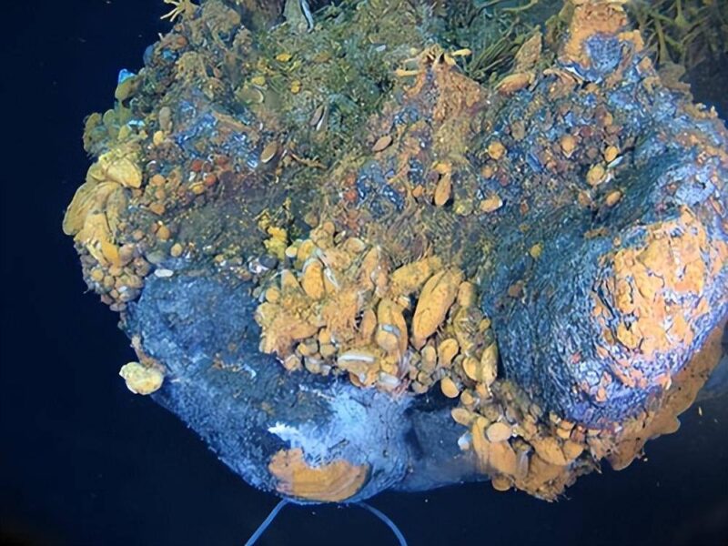 中國礦產資源世界排名-1