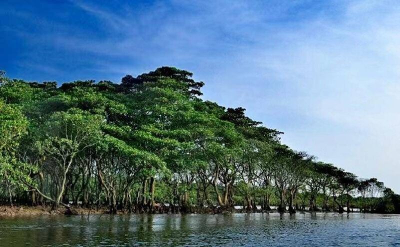 深圳有啥好玩的地方排行榜?深圳好玩的地方推薦前十-1