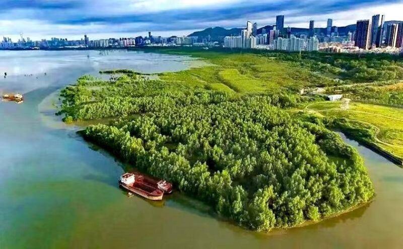 深圳有啥好玩的地方排行榜?深圳好玩的地方推薦前十-1