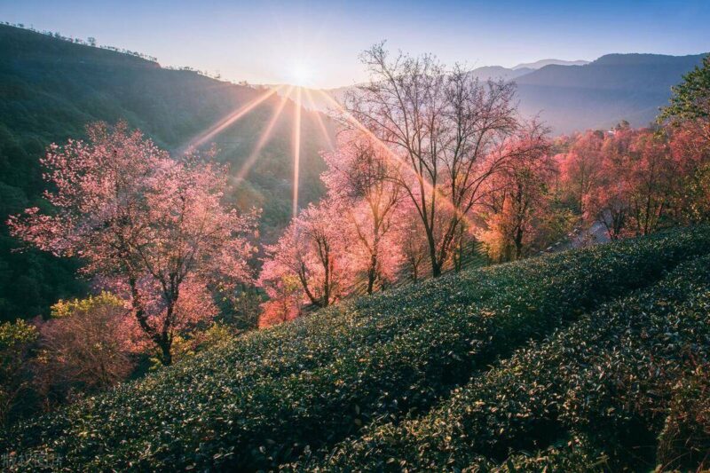 8月份去云南旅游合適嗎-1 8月份去云南旅游合適嗎-1