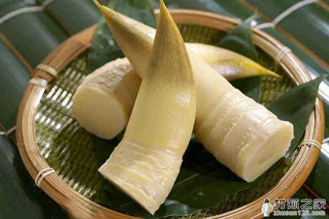 竹笙和竹蓀的區(qū)別-專在家創(chuàng)業(yè)網(wǎng)
