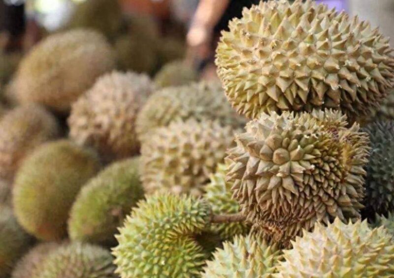 榴蓮那個品種比較好吃-1