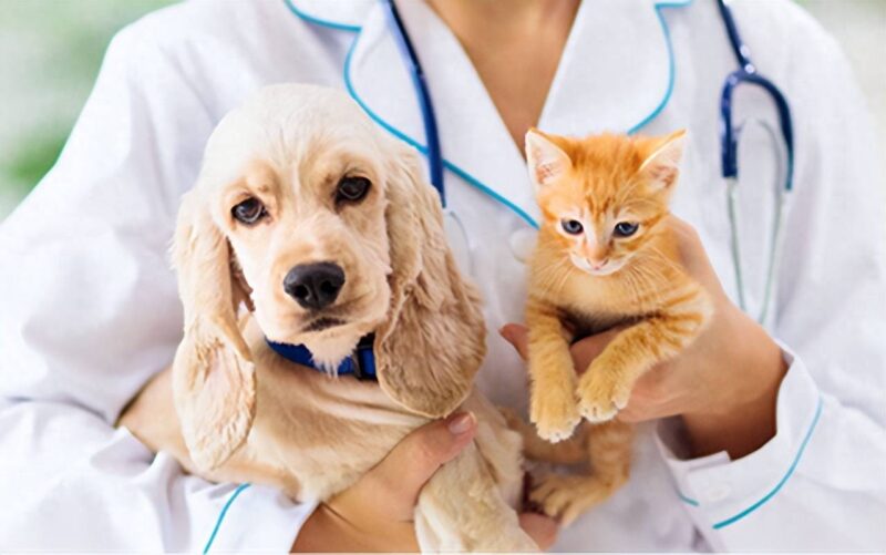 女人沒經驗開什么店好?10個鄉鎮上適合女人開的店-專在家創業網