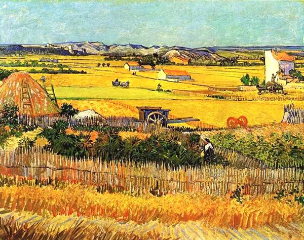 黃色的對比色是什么顏色-1 黃色的對比色是什么顏色-1