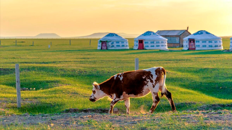 快遞偏遠地區包括哪些地方-1