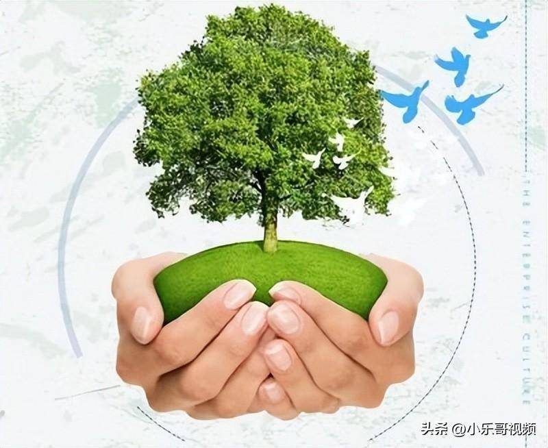 2023國家重點扶持的十大行業-1 2023國家重點扶持的十大行業-1