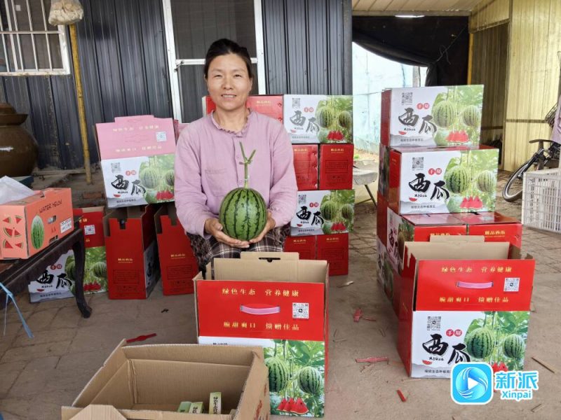 探尋經濟活力“濰”面孔丨張竹麗:在鄉土中生長創業夢-專在家創業網