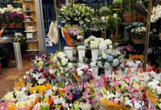 花店開在哪里生意好?多少費用？2025年最新開花店的選址避坑指南-專在家創業網