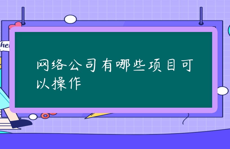 網絡公司有哪些項目可以操作