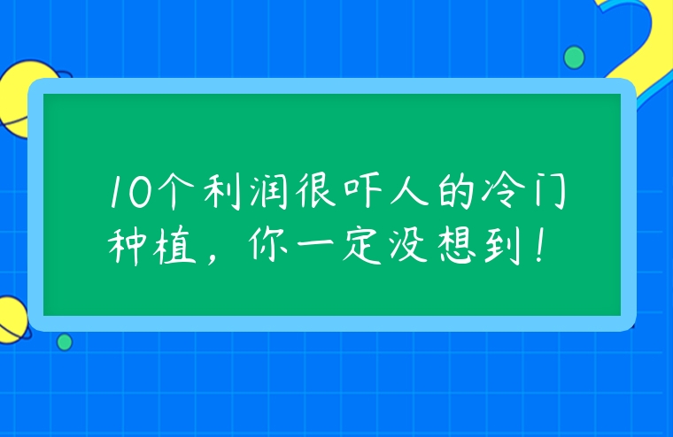 10個利潤很嚇人的冷門種植，你一定沒想到！